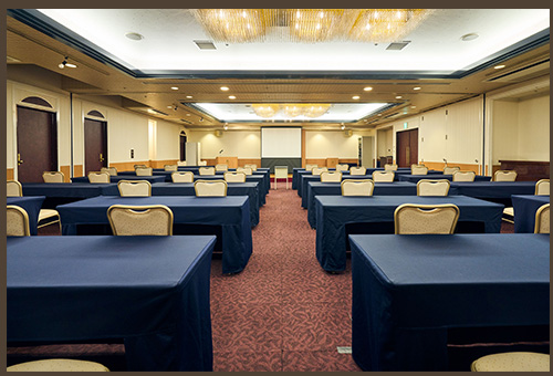 中会場 フリージア内観