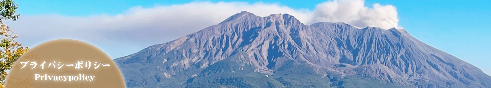 プライバシーポリシー